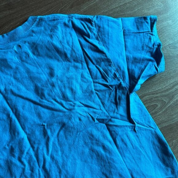 Hanes 2018 Awhonn Convention Tampa Florida Teal T-shirt Size L - Picture 11 of 14